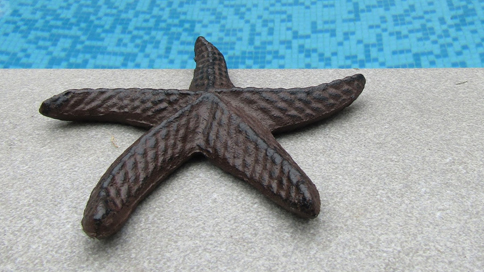 Starfish